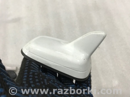 ФОТО Антенна для Audi (Ауди) A3 III 8V (12-20) Київ