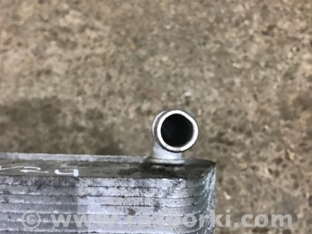 ФОТО Радиатор масляный для Audi (Ауди) A3 III 8V (12-20) Київ