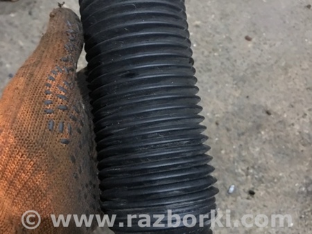 ФОТО Пыльник амортизатора для Porsche Cayenne II 958 E2/92A (10-14) Київ