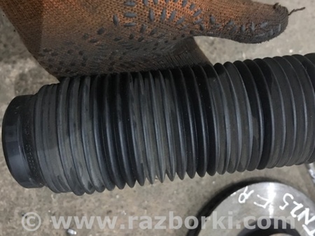 ФОТО Пыльник амортизатора для Porsche Cayenne II 958 E2/92A (10-14) Київ