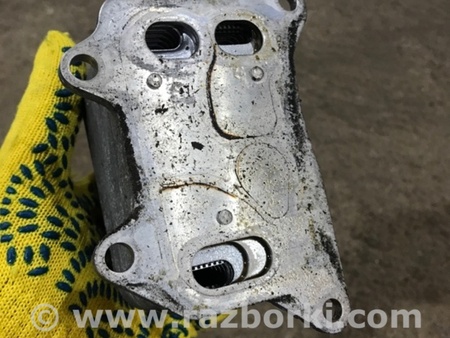 ФОТО Радиатор масляный для Audi (Ауди) A3 III 8V (12-20) Київ