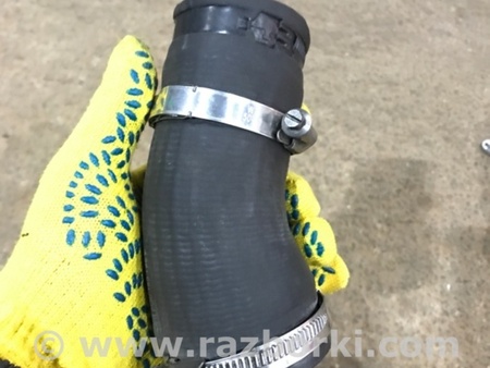 ФОТО Патрубок интеркулера для Audi (Ауди) A3 III 8V (12-20) Київ