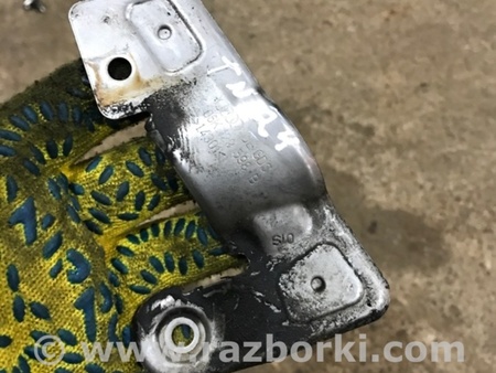 ФОТО Тепловой экран для Audi (Ауди) A3 III 8V (12-20) Київ