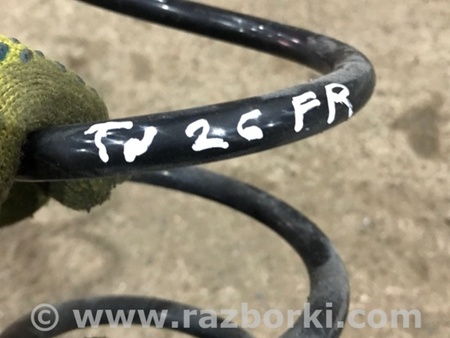 ФОТО Пружина подвески для Audi (Ауди) A4 V B9 - 8W (2015-) Київ