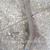 ФОТО Рычаг задний правый для Subaru Outback Киев
