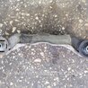 ФОТО Подушка редуктора для Subaru Outback Киев