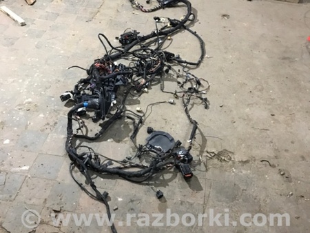 ФОТО Проводка салона для Audi (Ауди) A4 V B9 - 8W (2015-) Київ
