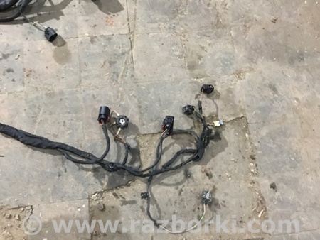 ФОТО Проводка салона для Audi (Ауди) A4 V B9 - 8W (2015-) Київ