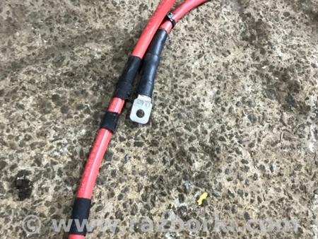 ФОТО Электропроводка для Audi (Ауди) A4 V B9 - 8W (2015-) Київ