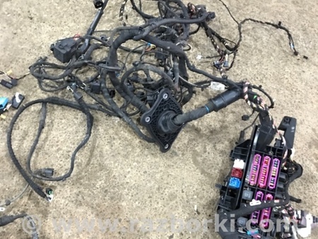 ФОТО Проводка салона для Audi (Ауди) A4 V B9 - 8W (2015-) Київ