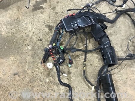 ФОТО Проводка салона для Audi (Ауди) A4 V B9 - 8W (2015-) Київ