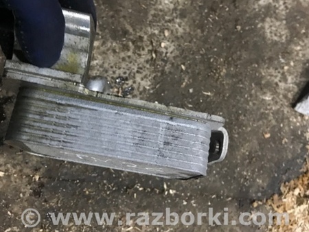 ФОТО Радиатор масляный для Audi (Ауди) A4 V B9 - 8W (2015-) Київ