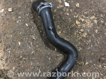 ФОТО Патрубок системы охлаждения для Audi (Ауди) A4 V B9 - 8W (2015-) Київ