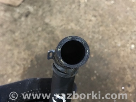 ФОТО Патрубок системы охлаждения для Audi (Ауди) A4 V B9 - 8W (2015-) Київ