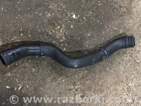 ФОТО Патрубок системы охлаждения для Audi (Ауди) A4 V B9 - 8W (2015-) Київ