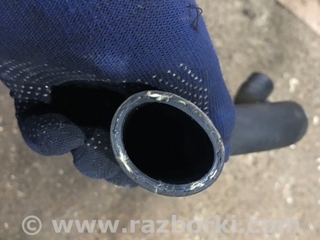 ФОТО Патрубок системы охлаждения для Audi (Ауди) A4 V B9 - 8W (2015-) Київ