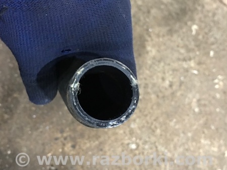 ФОТО Патрубок системы охлаждения для Audi (Ауди) A4 V B9 - 8W (2015-) Київ