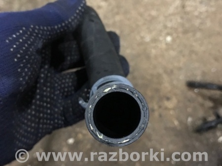 ФОТО Патрубок системы охлаждения для Audi (Ауди) A4 V B9 - 8W (2015-) Київ