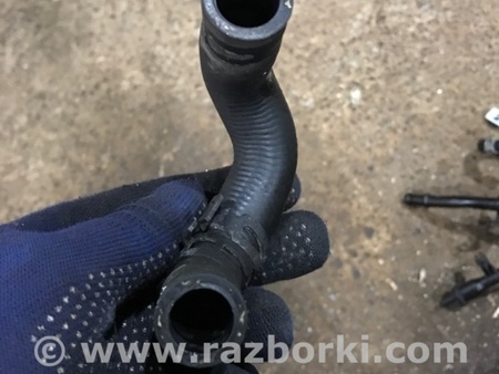 ФОТО Патрубок системы охлаждения для Audi (Ауди) A4 V B9 - 8W (2015-) Київ