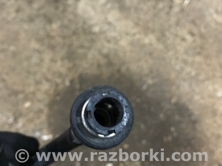 ФОТО Трубка топливная для Audi (Ауди) A4 V B9 - 8W (2015-) Київ