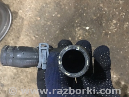 ФОТО Трубка охлаждения для Audi (Ауди) A4 V B9 - 8W (2015-) Київ