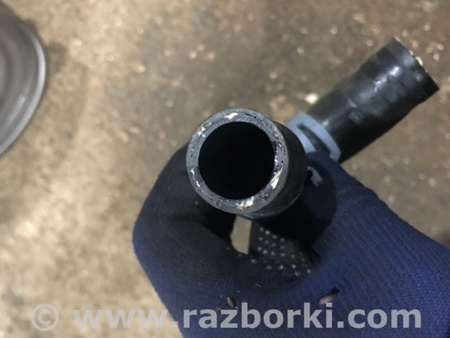 ФОТО Трубка охлаждения для Audi (Ауди) A4 V B9 - 8W (2015-) Київ