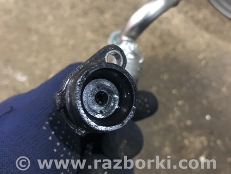 ФОТО Трубка охлаждения турбины для Audi (Ауди) A4 V B9 - 8W (2015-) Київ