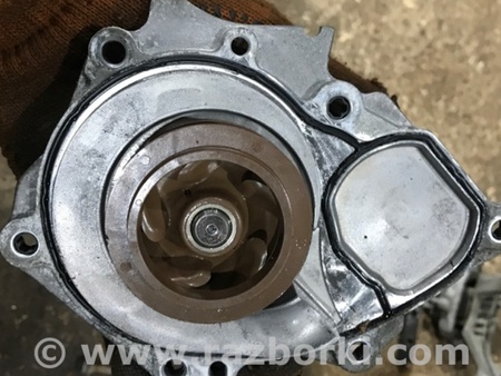 ФОТО Помпа для Audi (Ауди) A4 V B9 - 8W (2015-) Київ