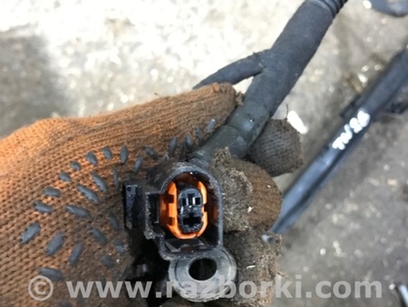 ФОТО Электропроводка для Audi (Ауди) A4 V B9 - 8W (2015-) Київ