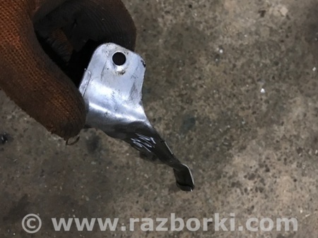 ФОТО Тепловой экран для Audi (Ауди) A4 V B9 - 8W (2015-) Київ