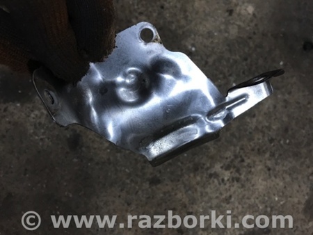 ФОТО Тепловой экран для Audi (Ауди) A4 V B9 - 8W (2015-) Київ