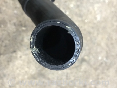 ФОТО Патрубок системы охлаждения для Audi (Ауди) A4 V B9 - 8W (2015-) Київ