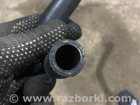 ФОТО Патрубок системы охлаждения для Audi (Ауди) A4 V B9 - 8W (2015-) Київ