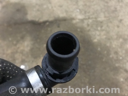 ФОТО Патрубок системы охлаждения для Audi (Ауди) A4 V B9 - 8W (2015-) Київ