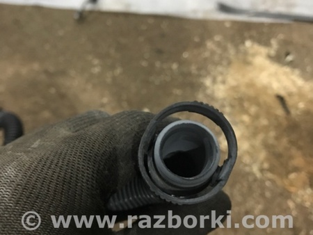 ФОТО Трубка вакуумная для Porsche Macan I 95B +FL (13-18) Київ