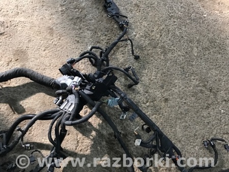 ФОТО Проводка ДВС для Porsche Macan I 95B +FL (13-18) Київ