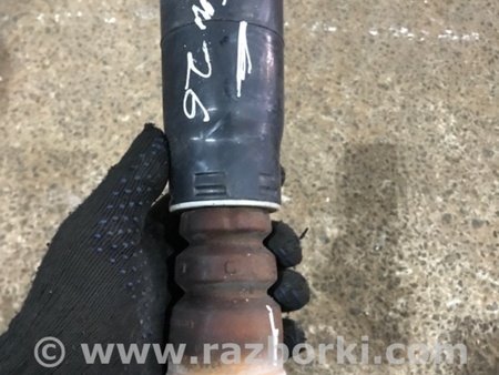 ФОТО Пыльник амортизатора для Audi (Ауди) A4 V B9 - 8W (2015-) Київ