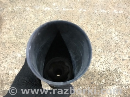 ФОТО Пыльник амортизатора для Audi (Ауди) A4 V B9 - 8W (2015-) Київ