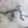 Проводка Subaru Impreza GD/GG