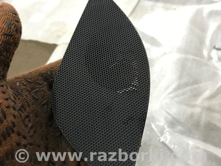 ФОТО Крышка динамика для Audi (Ауди) A4 V B9 - 8W (2015-) Київ