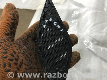 ФОТО Крышка динамика для Audi (Ауди) A4 V B9 - 8W (2015-) Київ