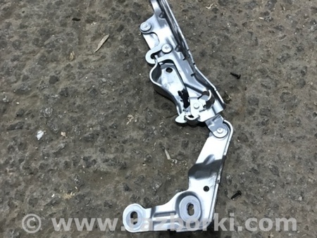 ФОТО Петля капота для Porsche Panamera I 970 (09-16) Київ