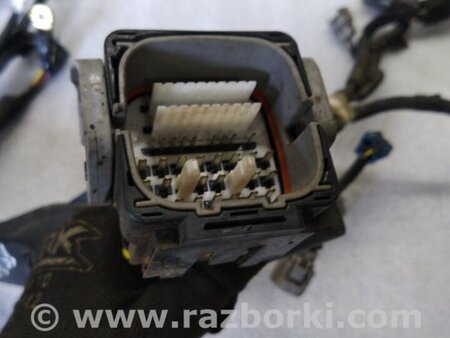 ФОТО Проводка для Subaru Forester SG Киев