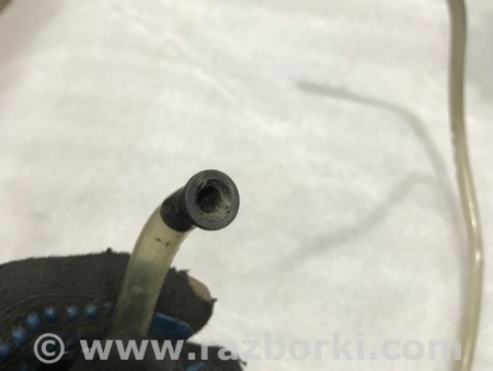 ФОТО Шланг вентиляционный для Audi (Ауди) A4 V B9 - 8W (2015-) Київ