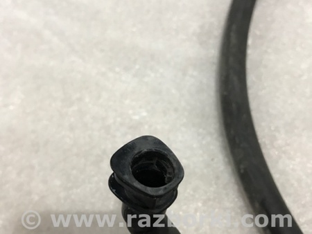 ФОТО Шланг омывателя фар для Porsche Panamera I 970 (09-16) Київ