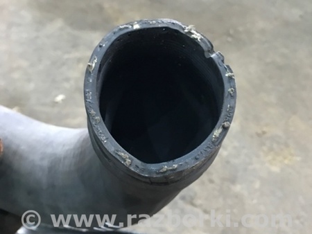 ФОТО Патрубок системы охлаждения для Audi (Ауди) A3 III 8V (12-20) Київ