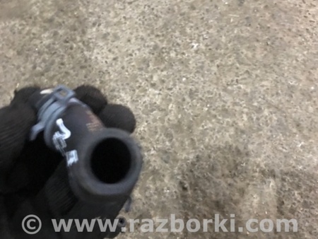 ФОТО Патрубок системы охлаждения для Audi (Ауди) A3 III 8V (12-20) Київ