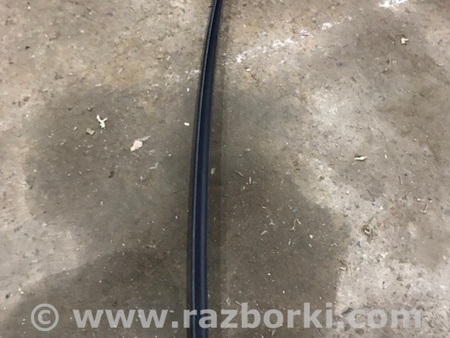 ФОТО Молдинг лобового стекла для Audi (Ауди) A4 V B9 - 8W (2015-) Київ