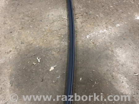 ФОТО Молдинг лобового стекла для Audi (Ауди) A4 V B9 - 8W (2015-) Київ