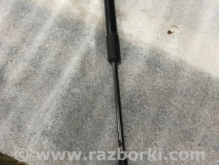 ФОТО Амортизатор капота для Audi (Ауди) A4 V B9 - 8W (2015-) Київ